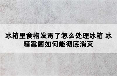 冰箱里食物发霉了怎么处理冰箱 冰箱霉菌如何能彻底消灭